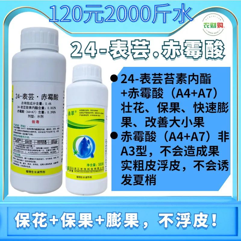 柑橘膨果最需要哪几种元素,柑橘大小果有办法补救吗