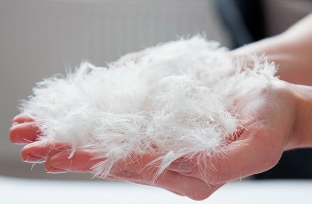 鹅绒羽绒被十大排名,高品质白鹅绒羽绒被推荐