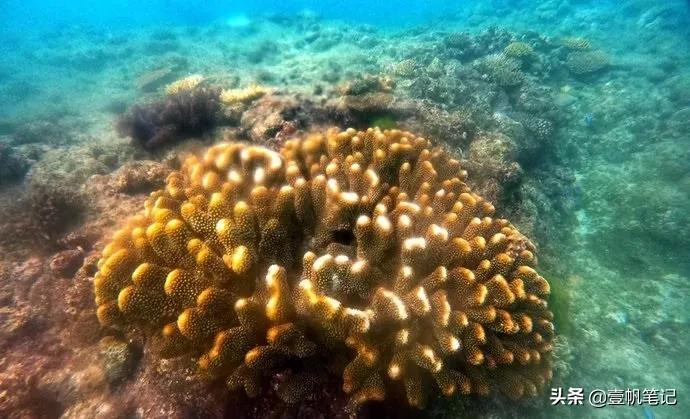 冬季情侣旅行地方推荐,情侣冬天适合去哪旅游