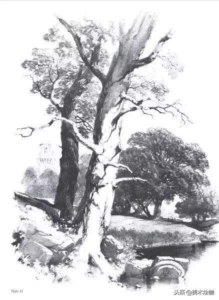 40张经典素描,40张经典素描风景图快拿去临摹吧