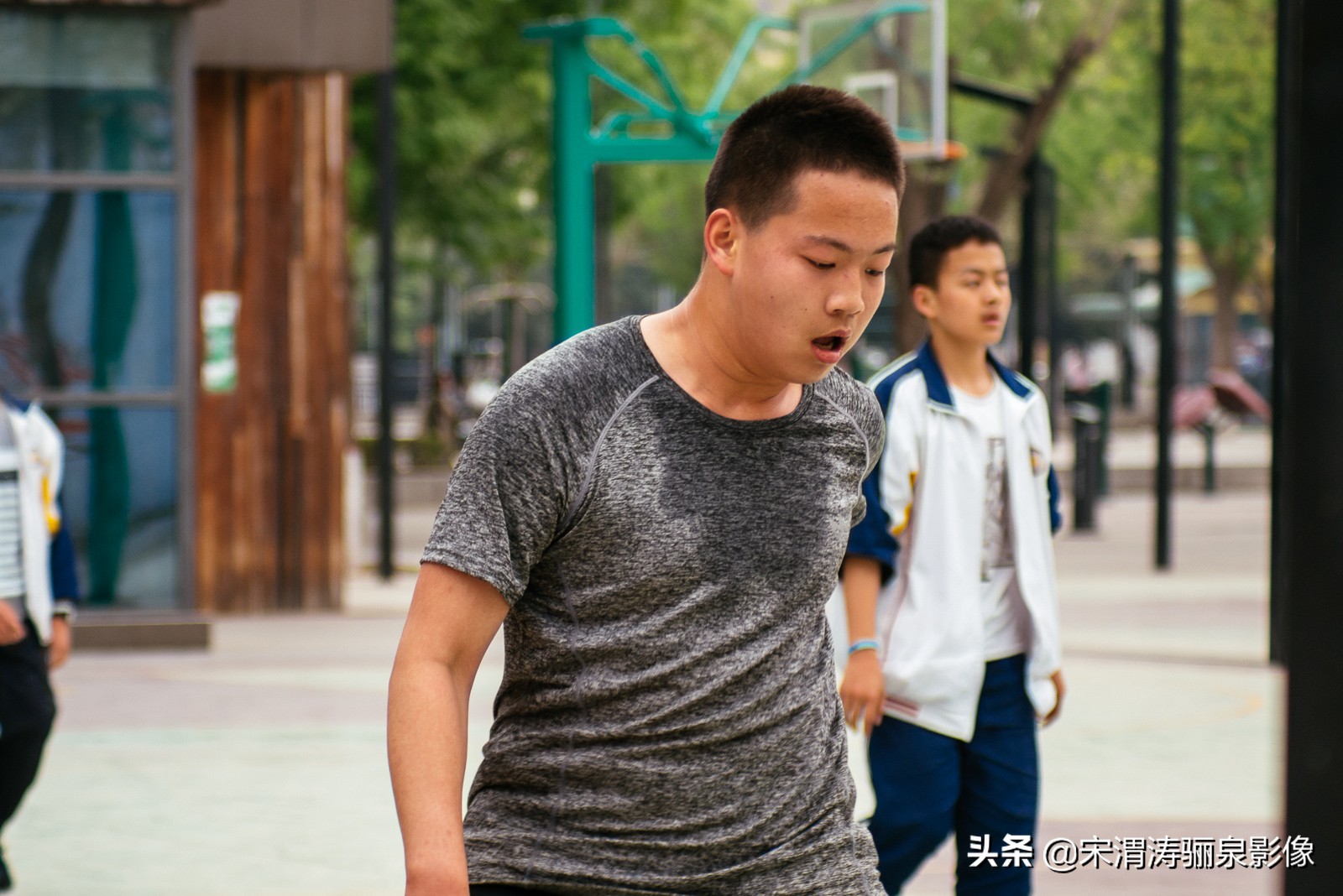 临渭区前进路篮球队,渭南前进路初中优秀学生