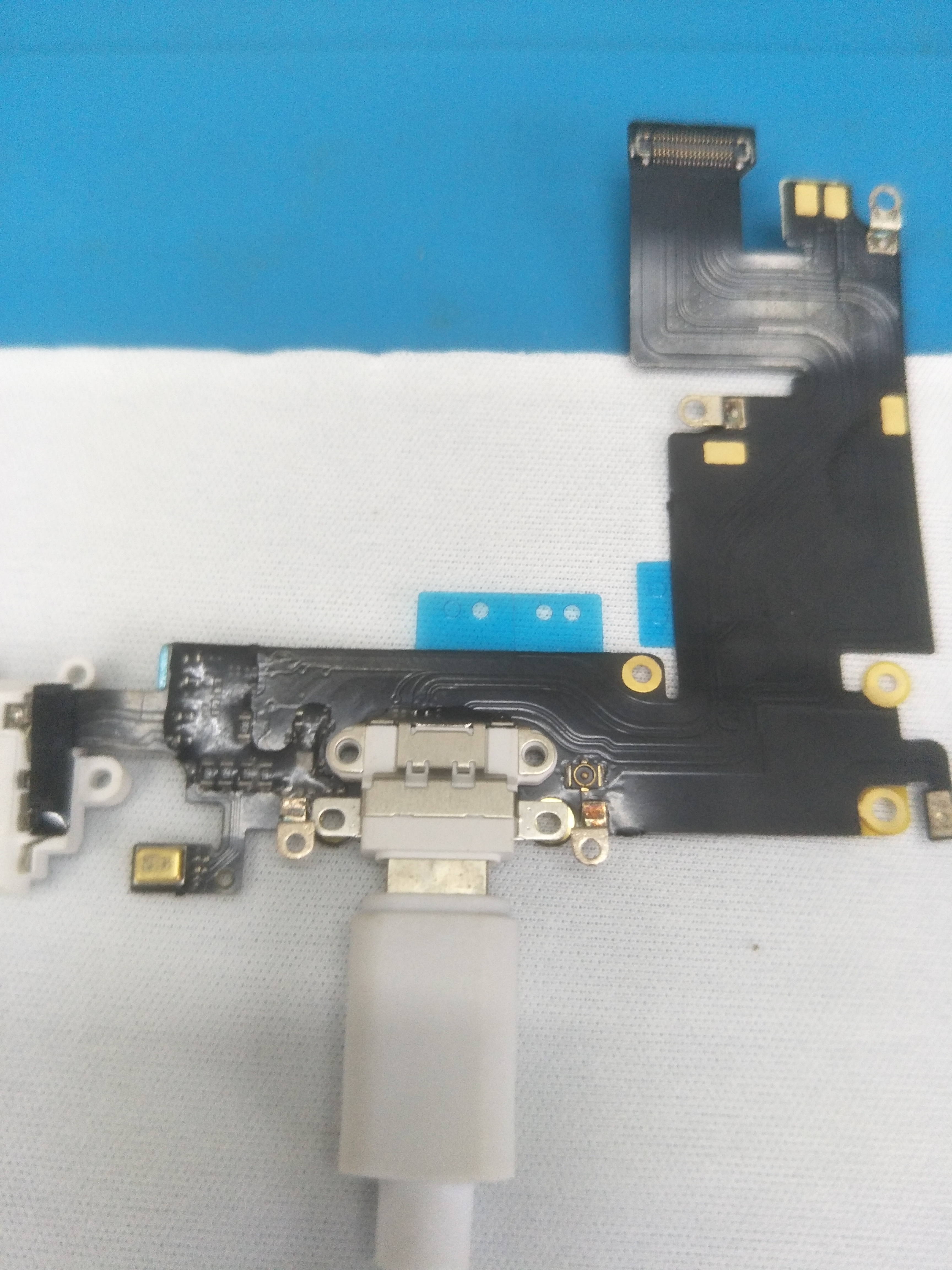 *窥偷**苹果6s“菊花”(尾插)的秘密