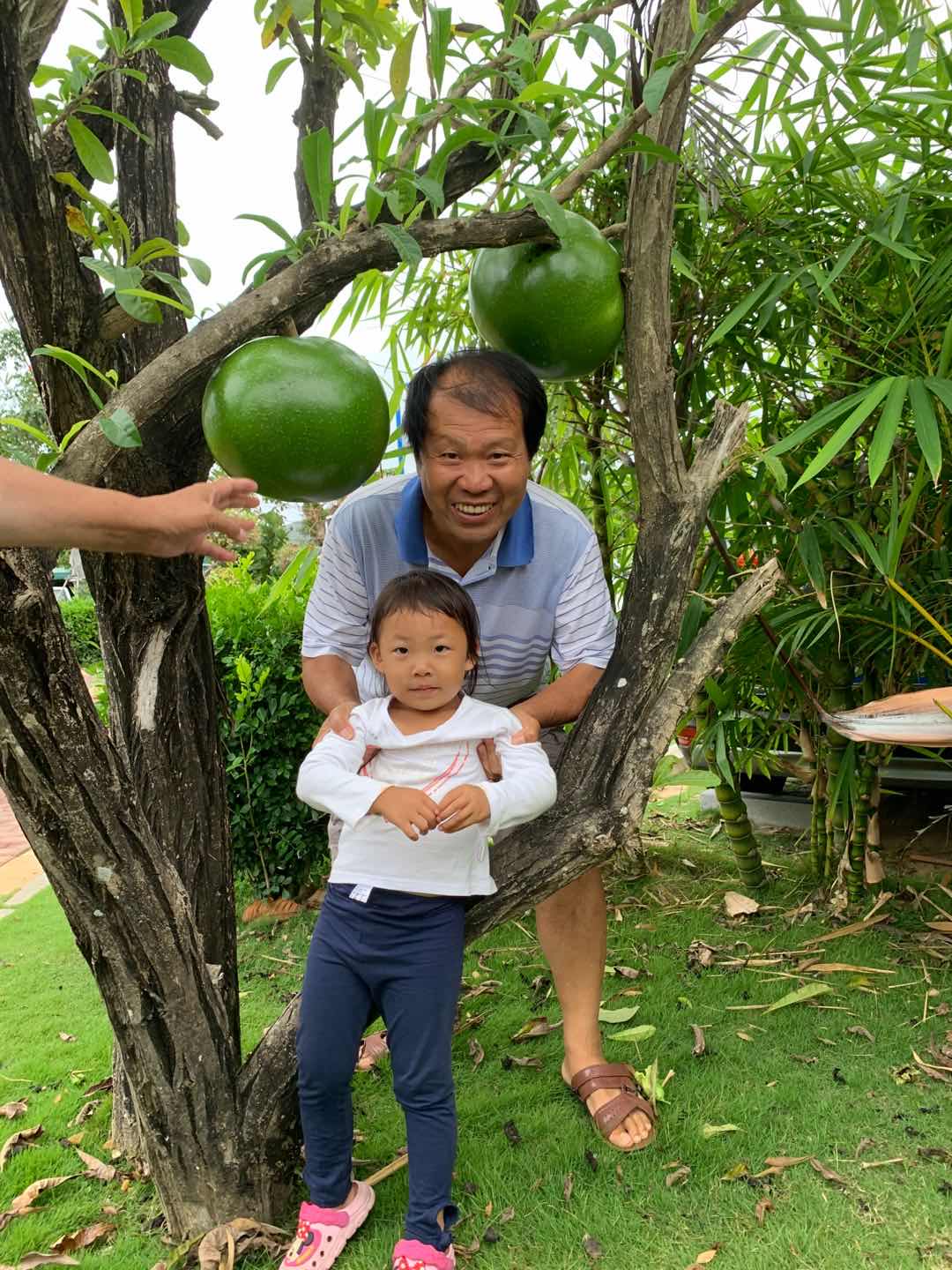 古稀之年天作合-------因祸得福、喜出望外的海南避寒床车之旅