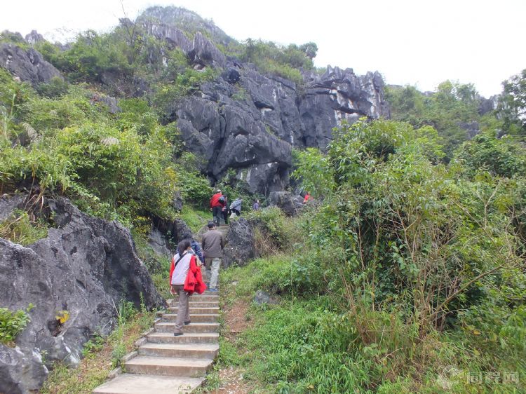 江阳区旅游景点,泸州江阳分水镇旅游景点