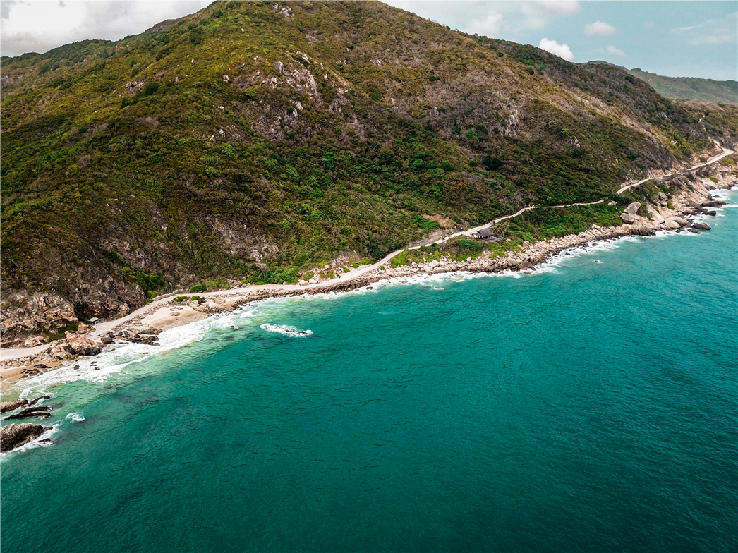 海南必玩猴岛与呆呆丨看萌呆猕猴,呆呆岛发呆