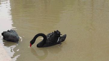 深圳这所大学宛如空中之城！