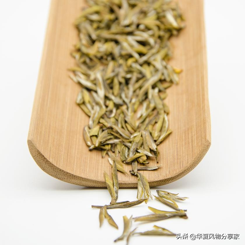 有请鼻祖｜新年第一件幸事，品一杯陆羽泡的茶