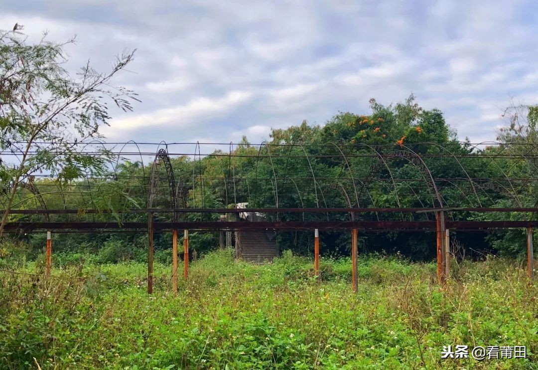 莆田快乐农庄以前的样子,莆田快乐农庄建什么