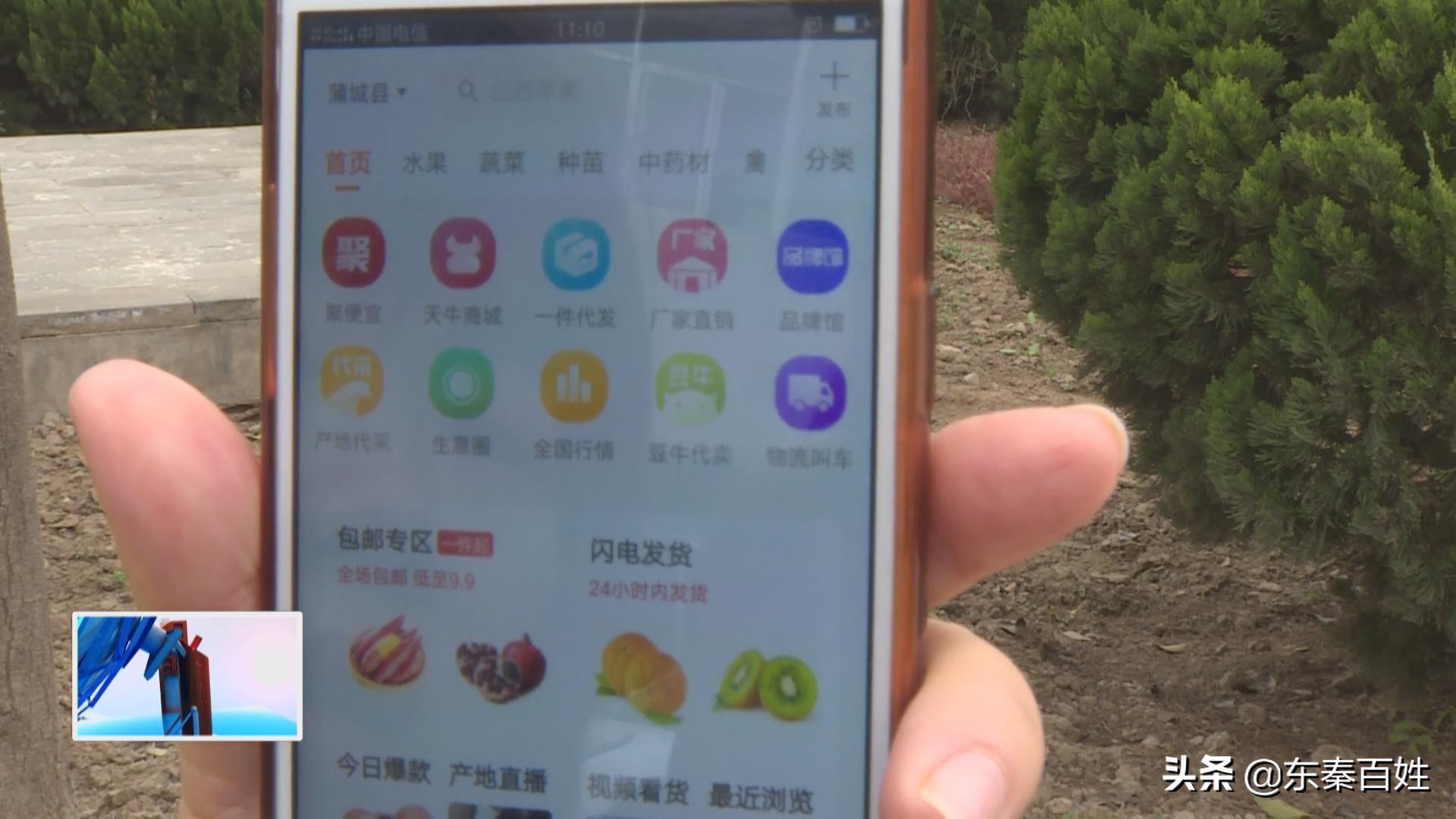 蒲城诈骗7万被抓,蒲城最新最大诈骗犯