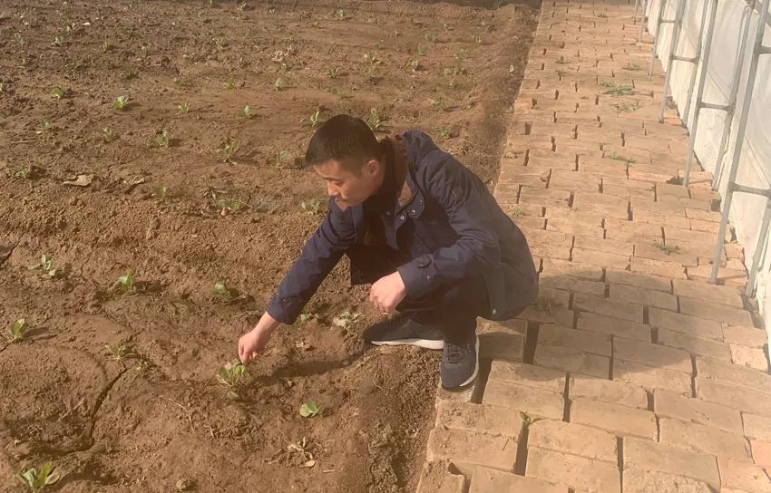 返乡创业青年演讲,返乡创业五四青年节演讲