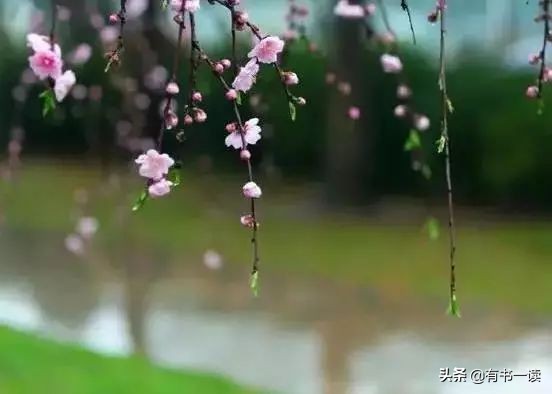 读懂南怀瑾先生经典的22句话,南怀瑾三句话说透了人生最高境界