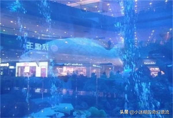 成都浩海立体海洋馆攻略,浩海立方成都海洋公园攻略