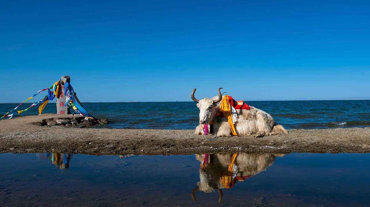 各省旅游景点地图和分布图,各省旅游攻略景点大全