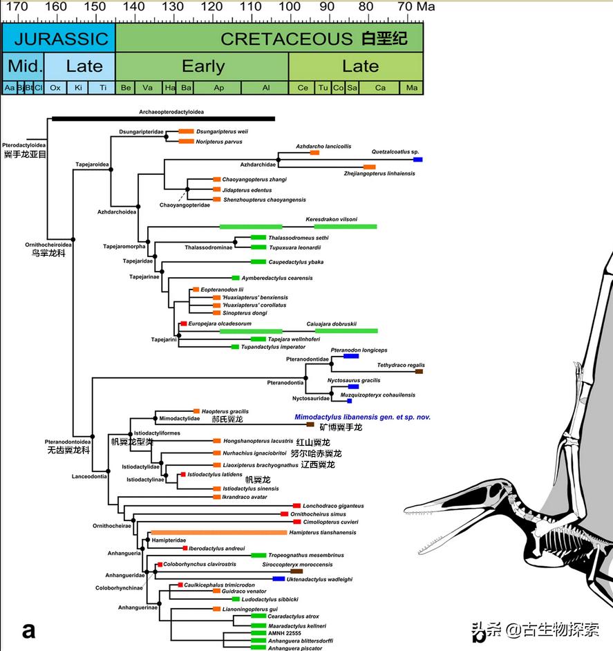 中国翼龙中东实战,中国翼龙直升飞机