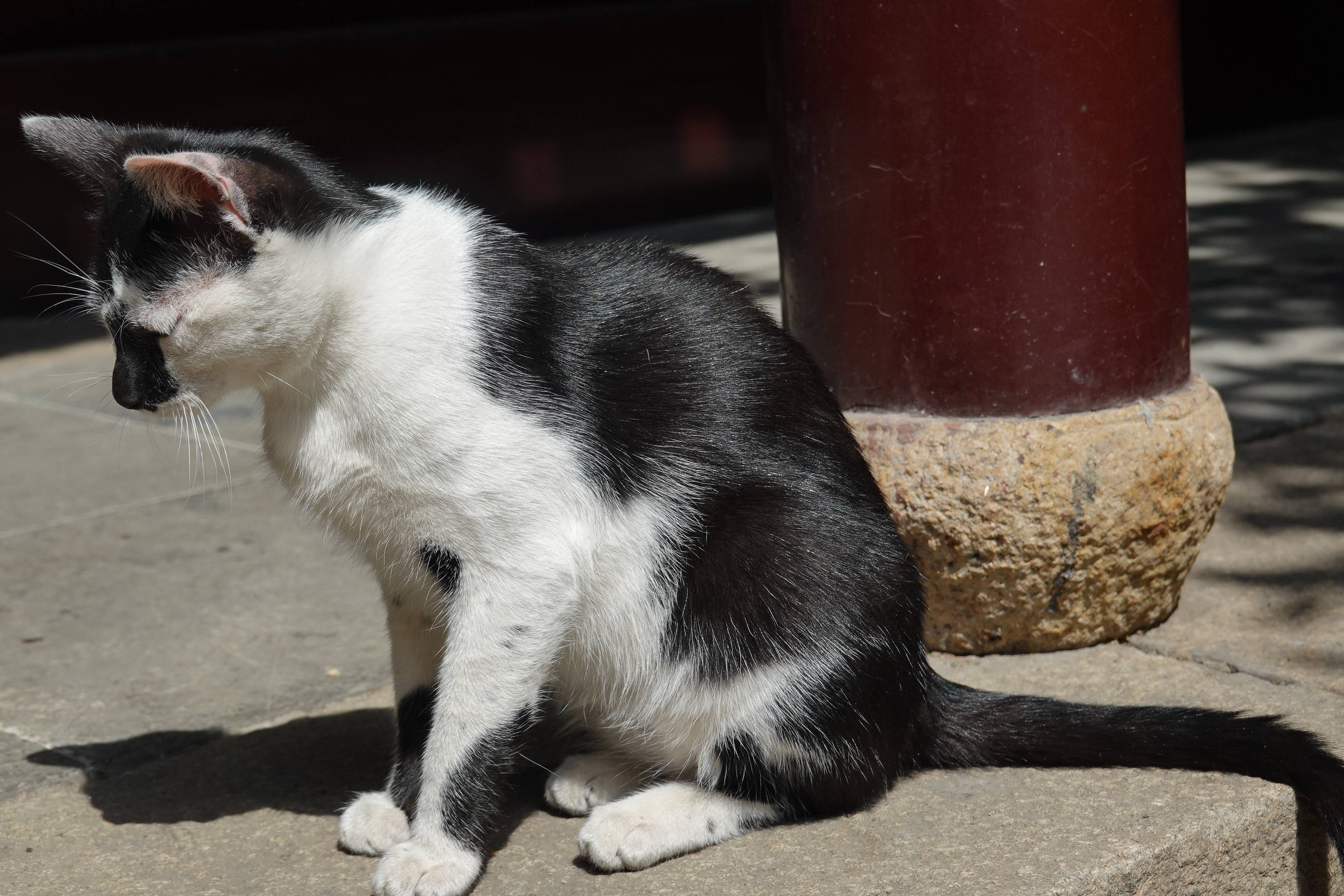 鑻忓窞鏃呮父灏忎紬鏃呮父鏀荤暐,鑻忓窞鏃呮父鏀荤暐灏忎紬鏅偣鎺ㄨ崘