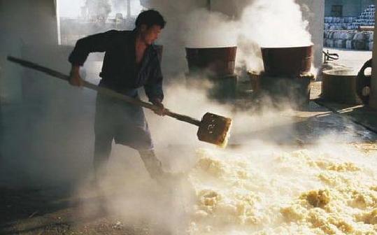 秒懂百科一分钟了解论语,秒懂知识全部视频