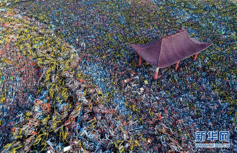 共享单车的过去与现状,共享单车坟场触目惊心