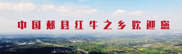 牛年吃牛肉牛气冲天,牛气冲天砂锅牛肉