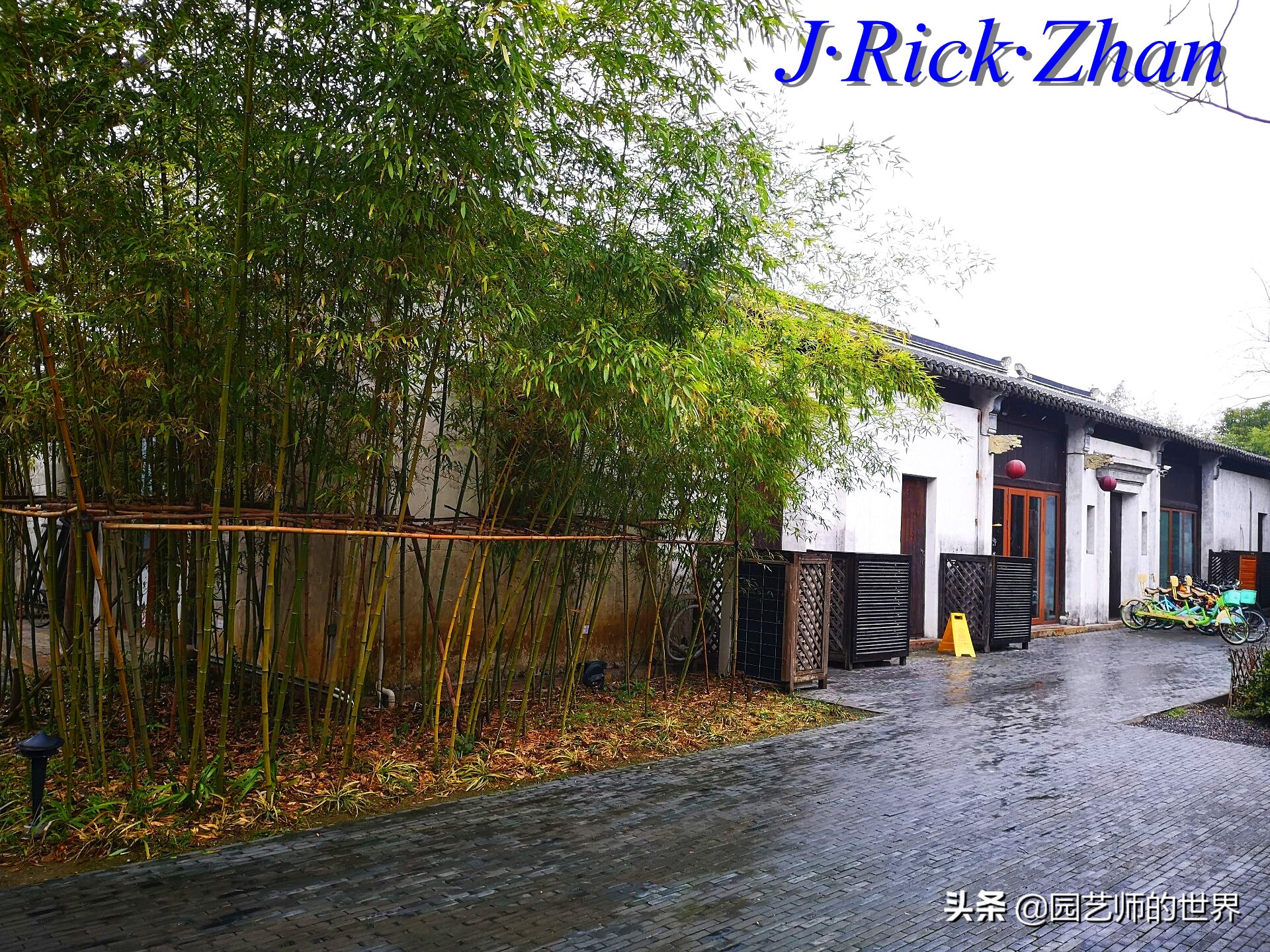 园艺研学报告,园艺园林研学