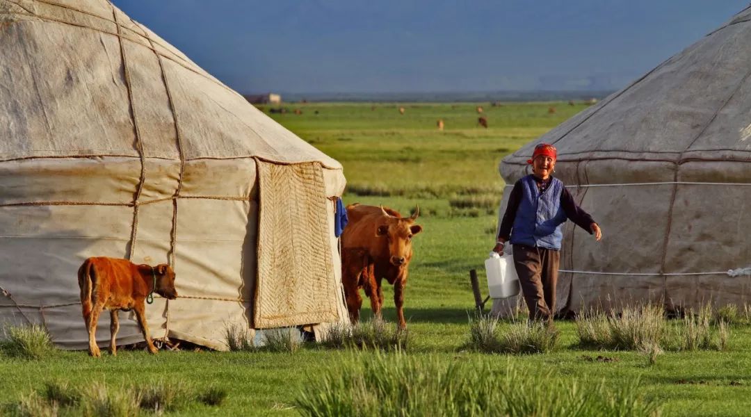 中国产的羊绒衫在俄罗斯卖多少钱,中国阿玛尼衣服代工厂