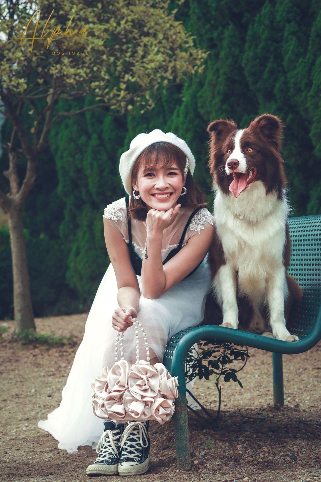 Pick到一家宝藏「宠物写真馆」!福利已谈好,铲屎官快冲鸭