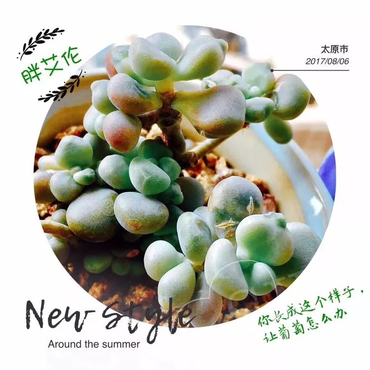 记录走过的美景留下美好的回忆,记录走过的每一段美好时光