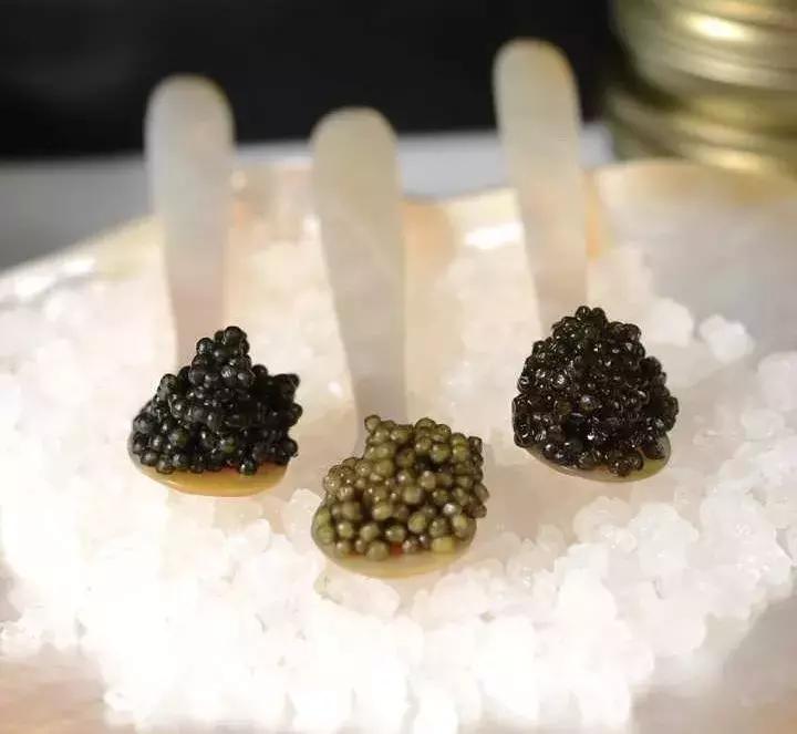 有了前法国第一夫人的百元“黑科技”眼霜，我把3000块眼霜扔了！