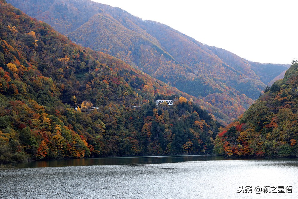 日本锅和德国锅哪个好,日本上万的锅