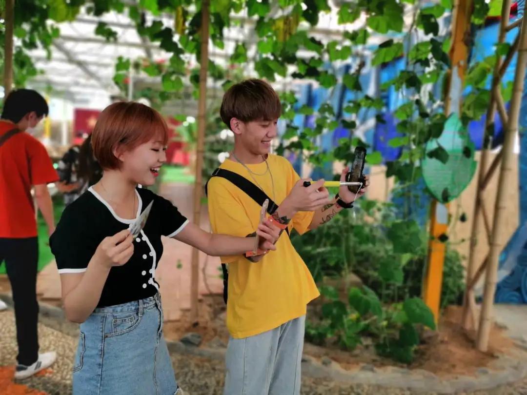 7月旅顺游玩,7月旅顺游玩去处