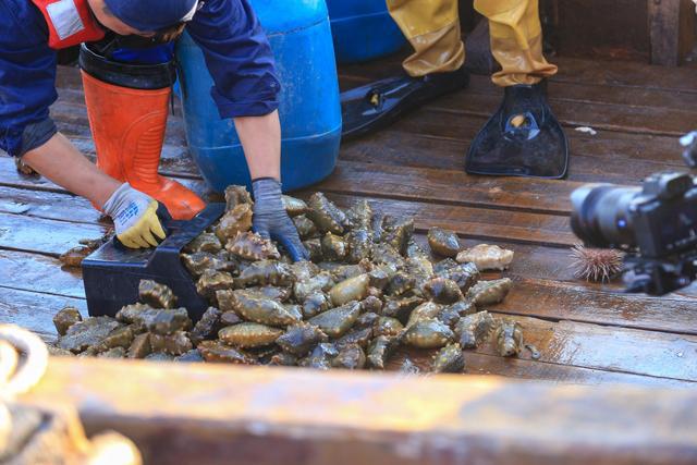 辽宁海岛人少环境好,辽宁海岛好去处