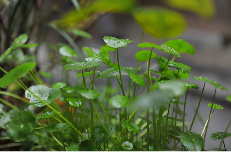 与春天有场约会，创新纯电动BMWiX3春季低碳之旅