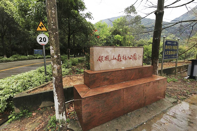 广东多地迎最美赏花季,广东十大热门赏花地