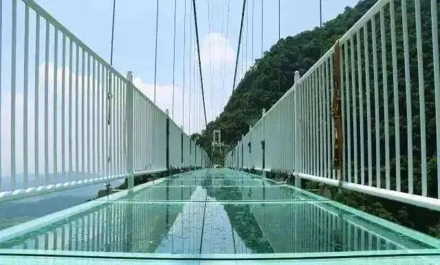 扩散|天津首个“7D花海天空之境”开放?全国都翻车了