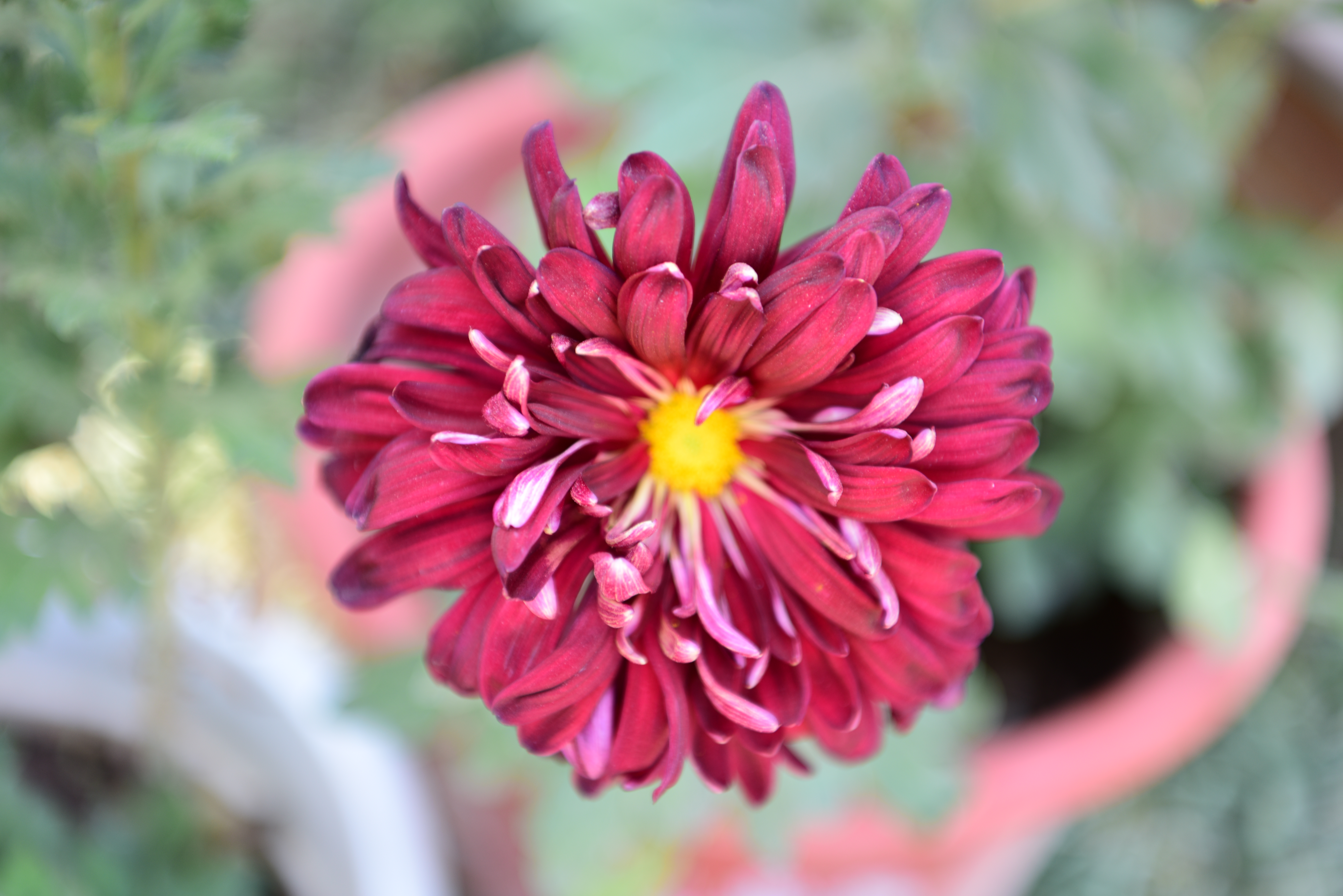 职务晋升论资排辈，8个方法帮助年轻干部冲出重围，实现提职晋升