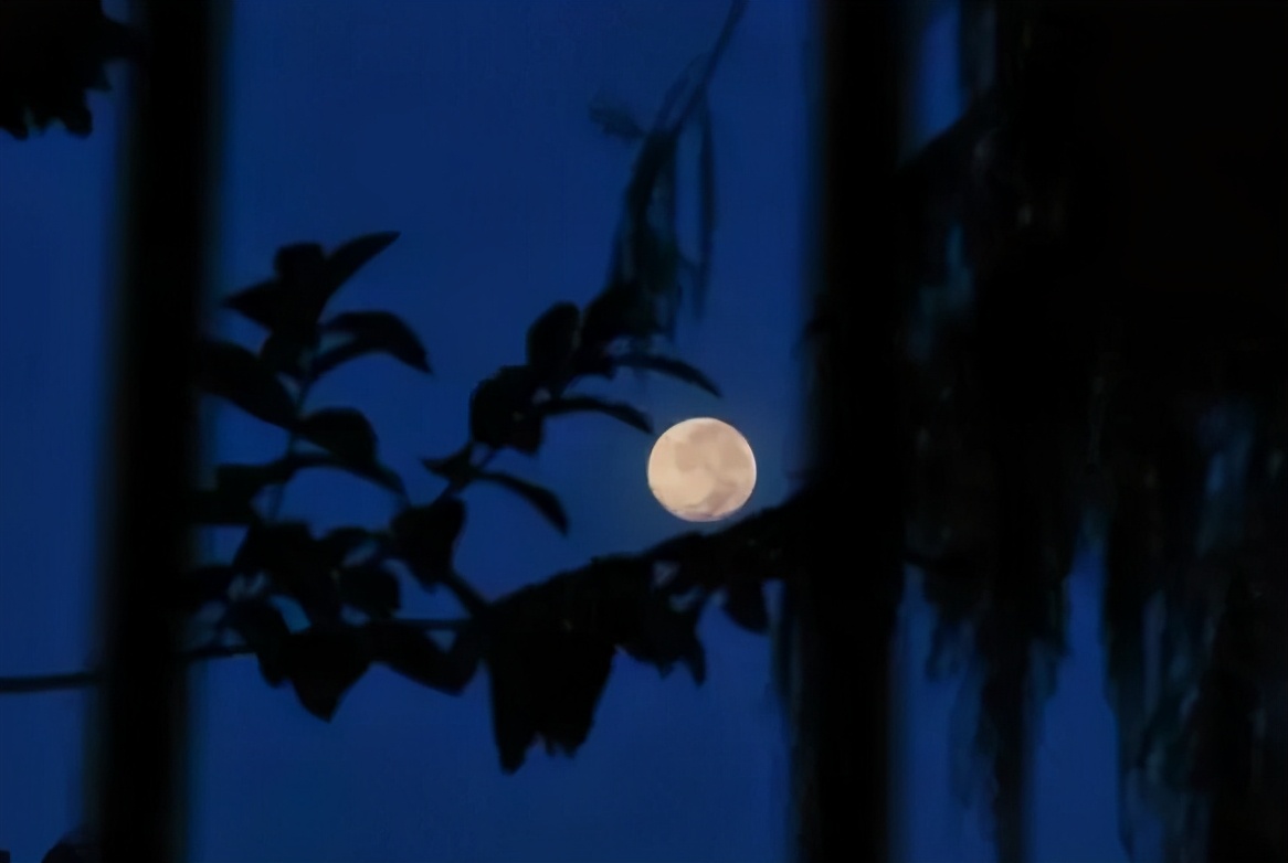 关于宋朝的哲理诗有哪些,宋朝有意境的经典诗句