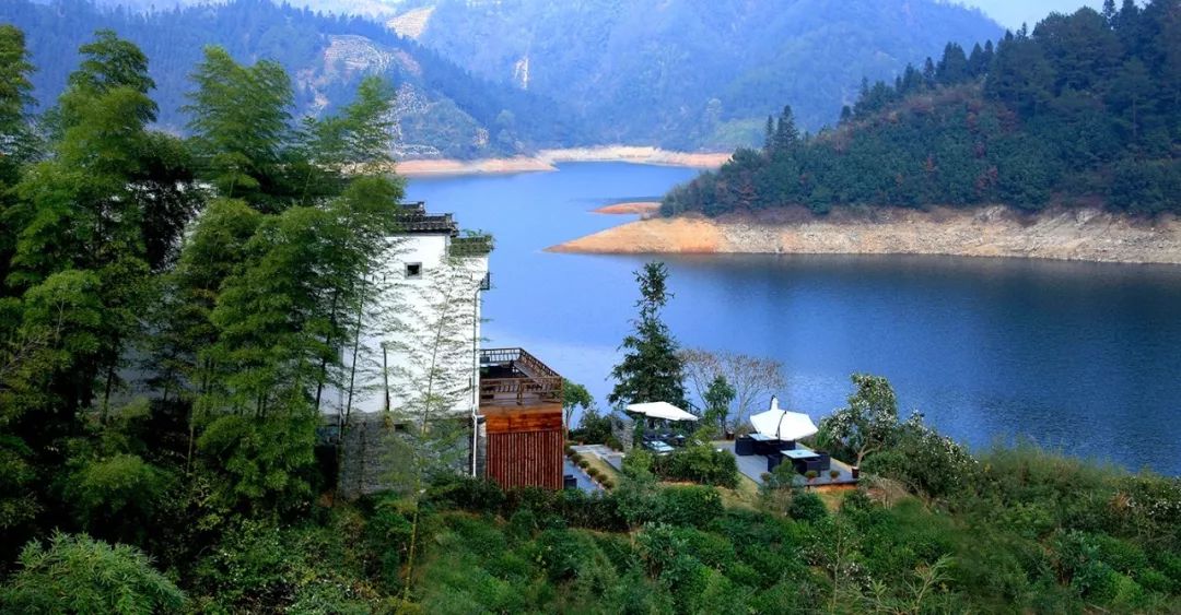 武夷山德懋堂|270万起旅居武夷山临溪别墅，遍访先贤遗迹！看云海、逛古村、品香茗，每天都生活在山水画中