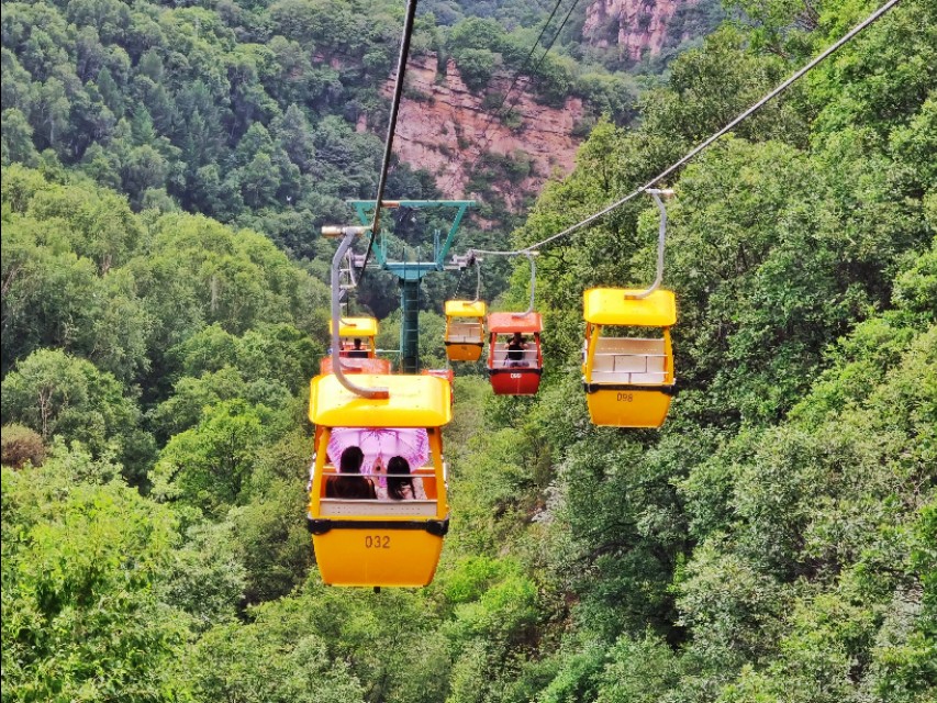 驼梁七月草原美，金莲妖娆入画里/郝贵云