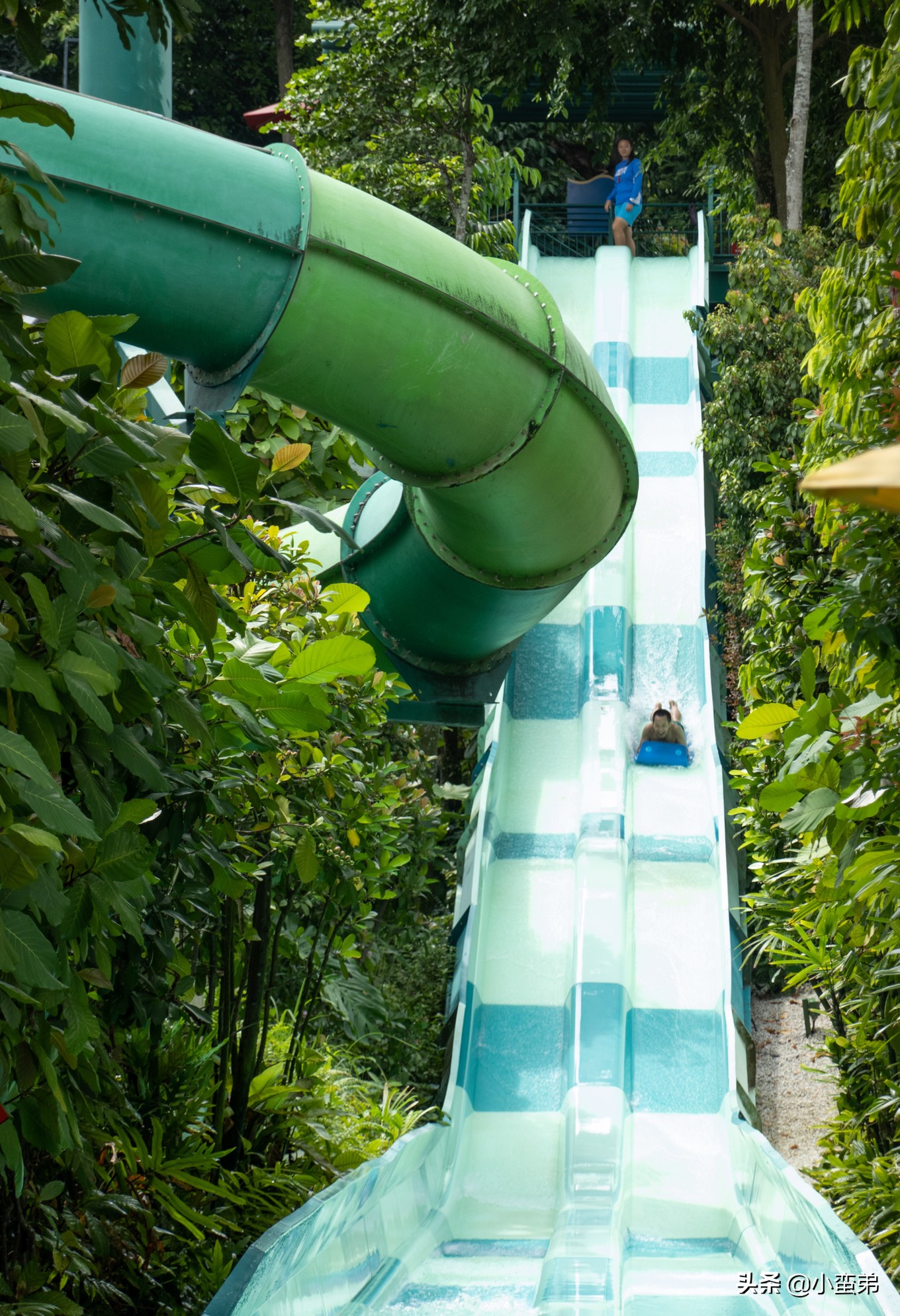 5年之许,小白逆袭重返新加坡