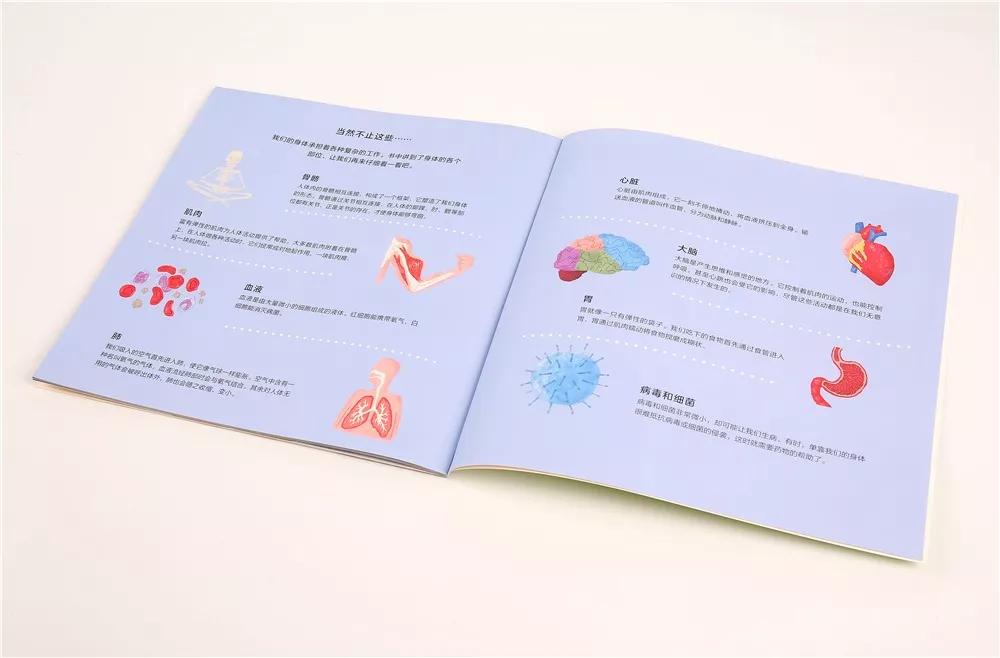 畅销300万,黄磊女儿的同款绘本火了!满足孩子好奇心的宝藏推荐