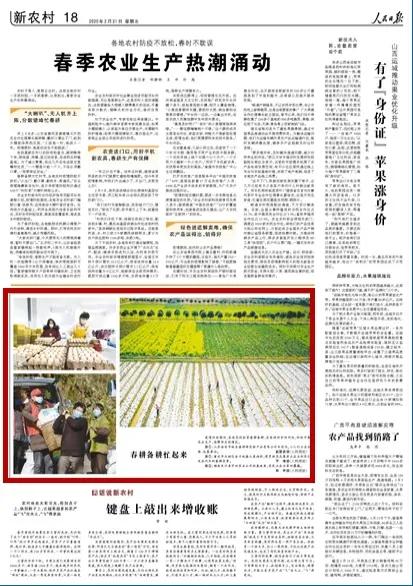 人民日报各种新闻报道,人民日报评论中央4台