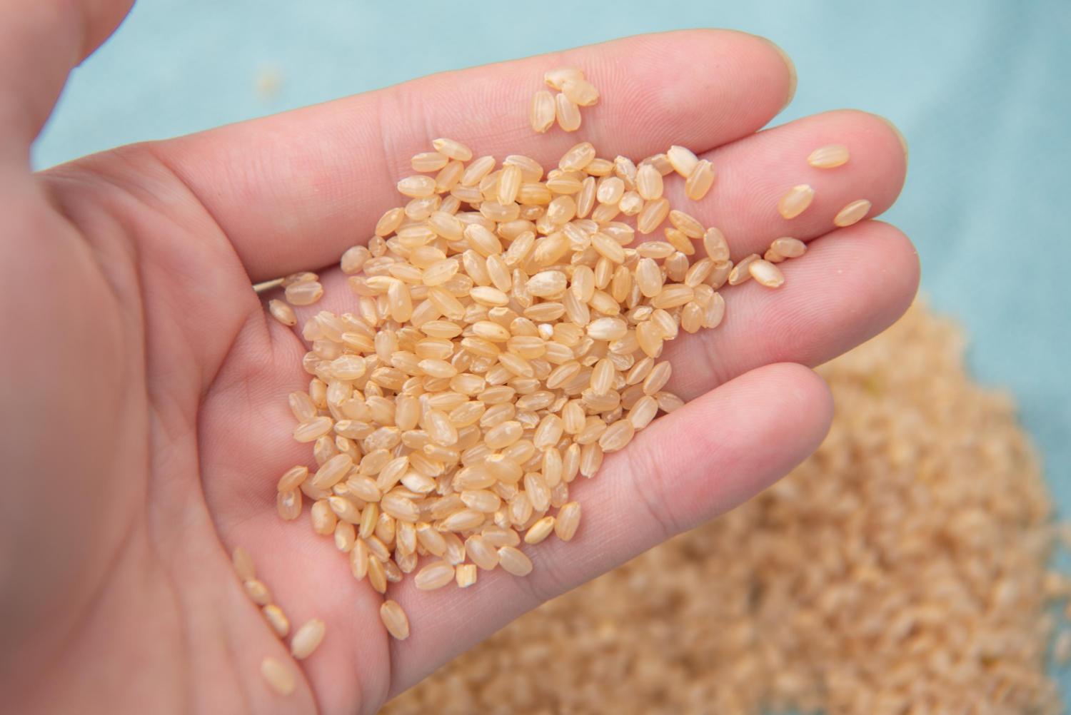 东芝rc-15ht电饭煲怎么煮饭,东芝ih电饭煲rc-10rmc怎么样