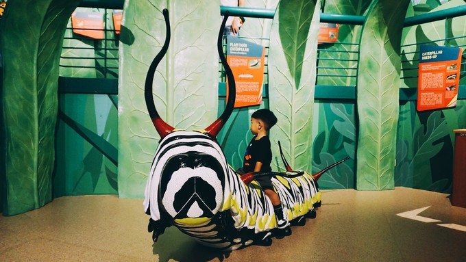 狮城新加坡自由行,新加坡7日游攻略