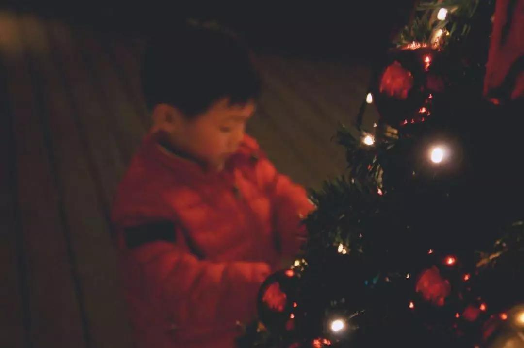 浪漫树屋、奇妙酒店、恒温水乐园...去江浙沪Top酒店跨个30℃的年
