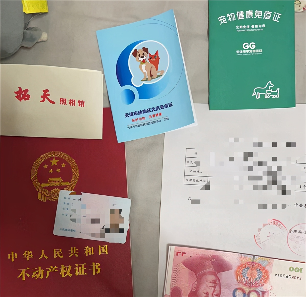 2020天津办理狗证去哪办,天津办理狗证的狗有哪些