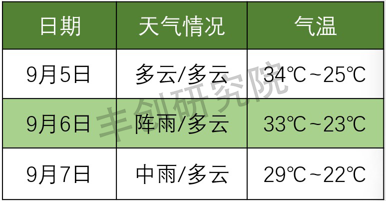 柑橘树浇灌粪水后烂根如何补救,柑橘叶子黄了是什么病