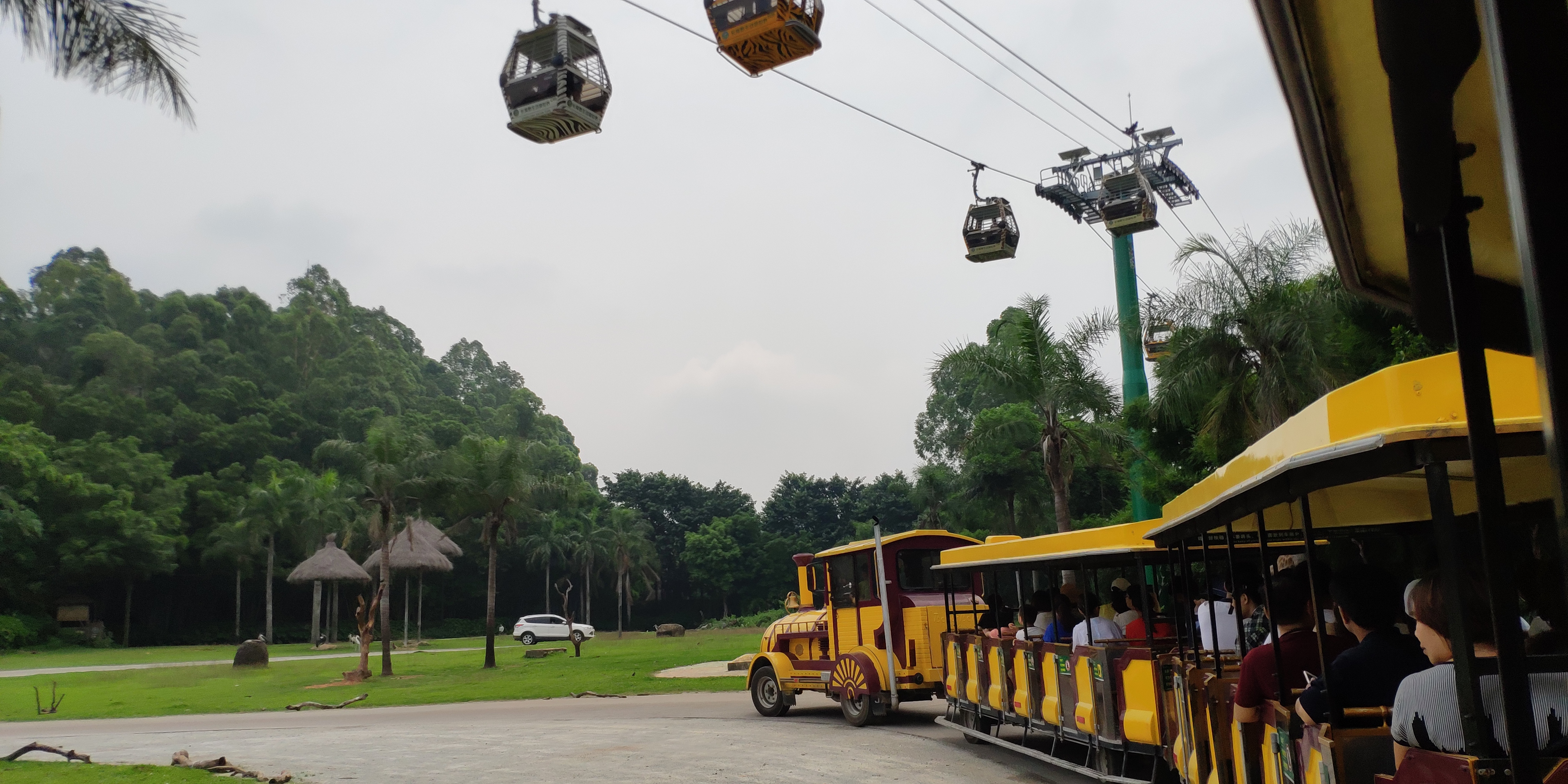 暑假带娃去广州长隆野生动物世界,周末亲子时光广州长隆野生动物园