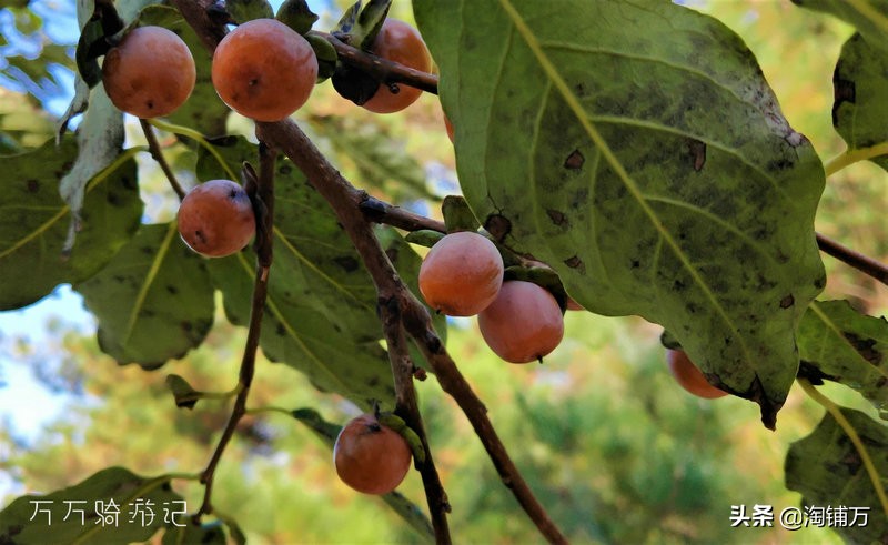 趁青春多折腾,趁着年轻四处游一游