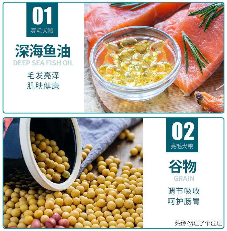 靓贝狗粮大粒,20公斤靓贝狗粮价格