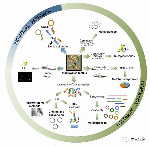 16srdna功能预测,16srdna测的是什么基因