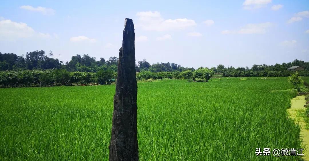 蒲江乡村风光,四川十大贫困县蒲江